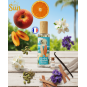 EAU DE PARFUM LITTLE SUN N°07 – ESCAPE TO HONOLULU 32ML